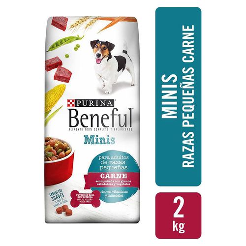 Alimento Perro Adulto Purina Beneful Original Minis Carne, Minis Y Pequeños 2kg