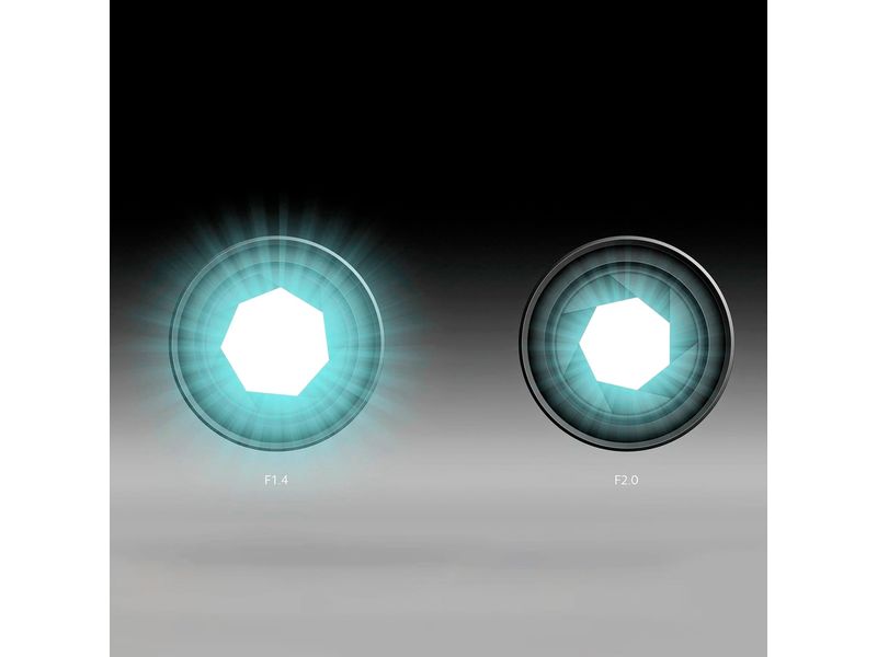 77577_03.jpg