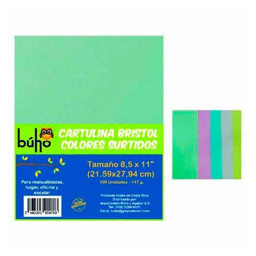 Cartulina Bristol Buho Carta Surt 100h