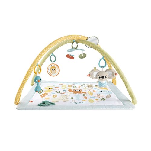 Gimnasio Fisher Price Gimnasio Primeros Sentidos