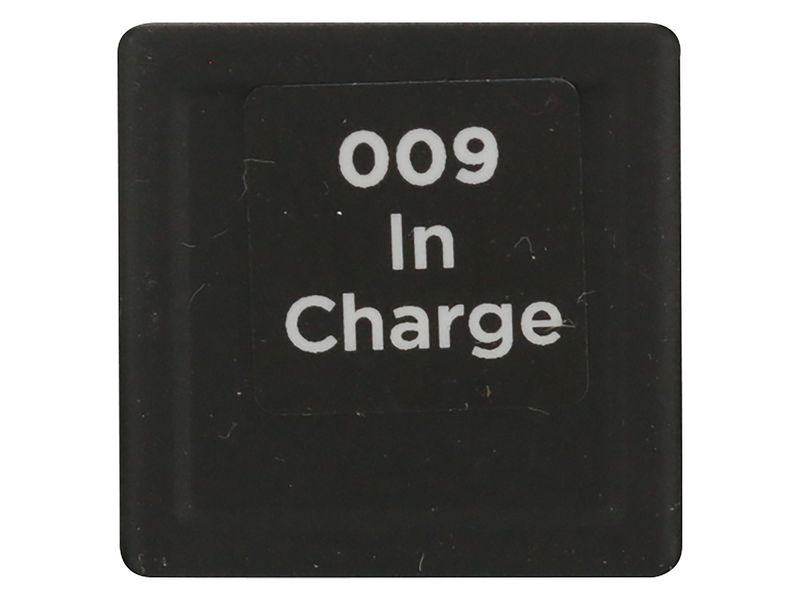 91846_03.jpg