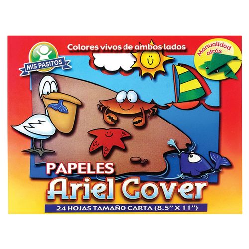 Block Ariel Cover Carta 24H