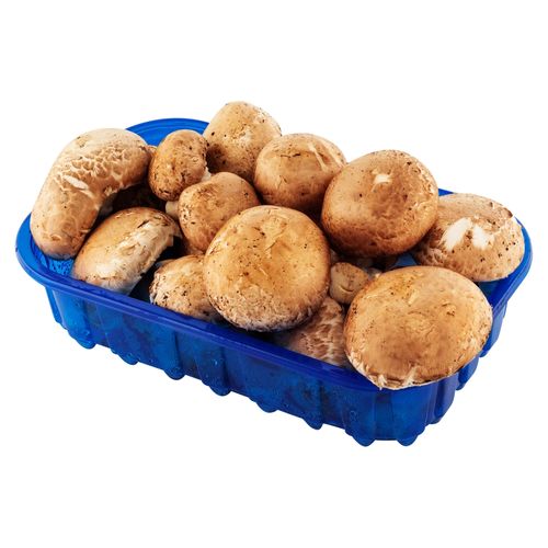 Hongo Hortifuti crimini frescos - 250 g