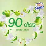 58005_06.jpg