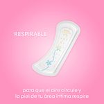 49260_05.jpg