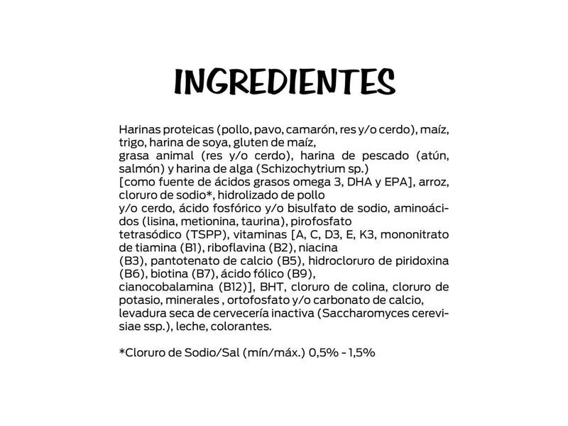 62388_04.jpg
