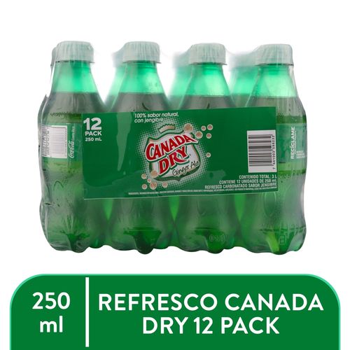 12 Pk Ginger Ale 250 Ml