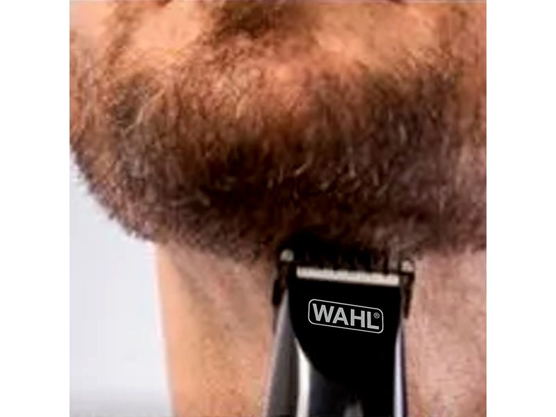 43753_05.jpg