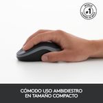 87091_03.jpg