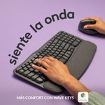 91800_02.jpg