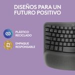 91800_09.jpg