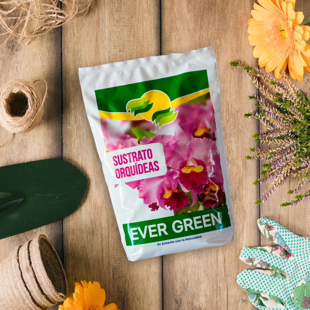 ＴＨＥGREAT E ST  COMPO  SER S Sustrato Ever Green Para Orquídeas- 5Lt - Walmart | Costa Rica