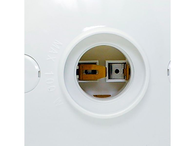 25710_02.jpg