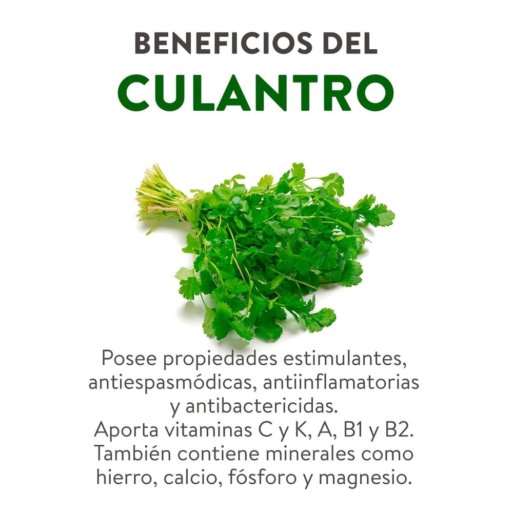 Comprar Culantro En Rollo unidad | Walmart Costa Rica - Maxipalí ...