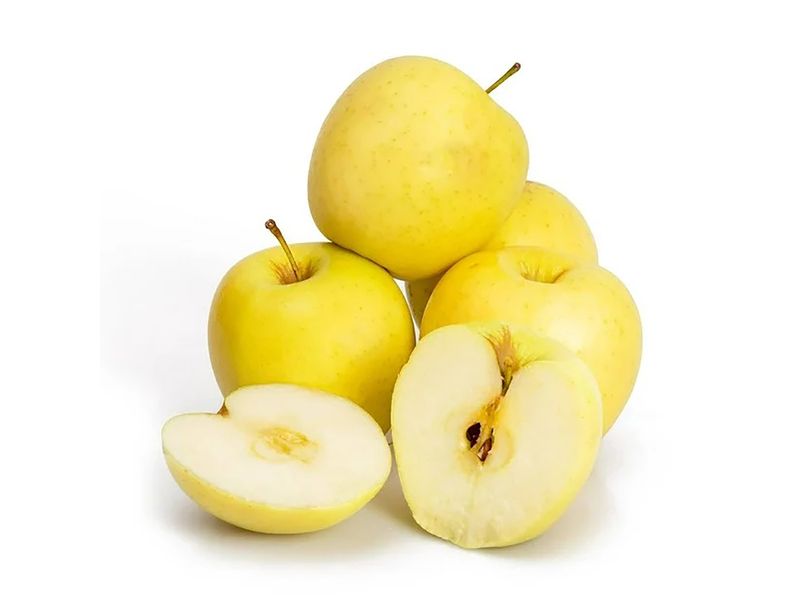 99595_01.jpg
