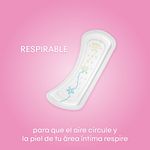 49260_05.jpg