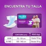 16900_02.jpg