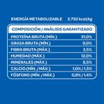 3548_06.jpg