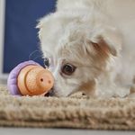 000000000075375837-UN-05