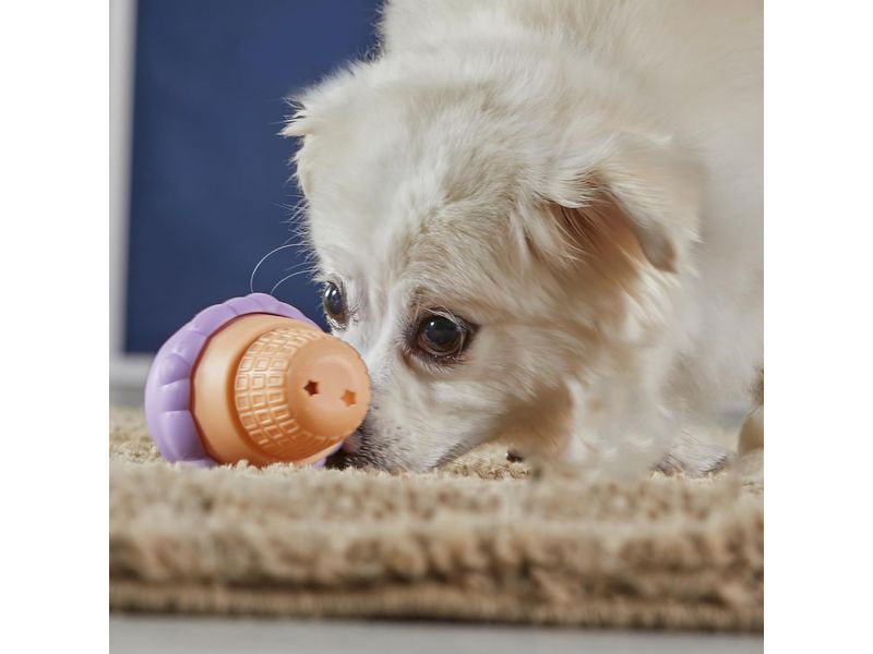 000000000075375837-UN-05