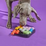 000000000075375843-UN-06