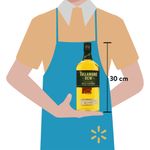 000000000075235882-UN-03