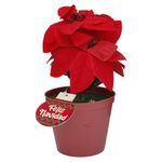 000000000070307013-UN-01