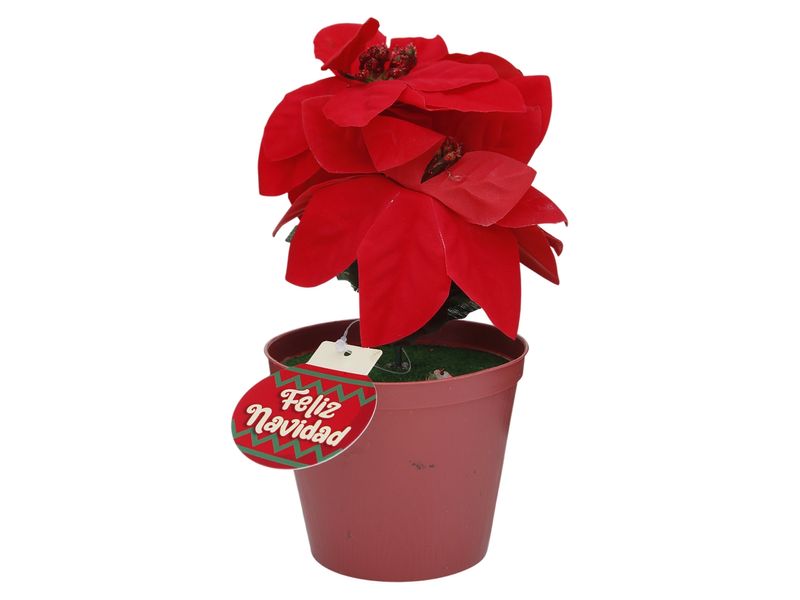 000000000070307013-UN-01