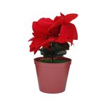 000000000070307013-UN-02