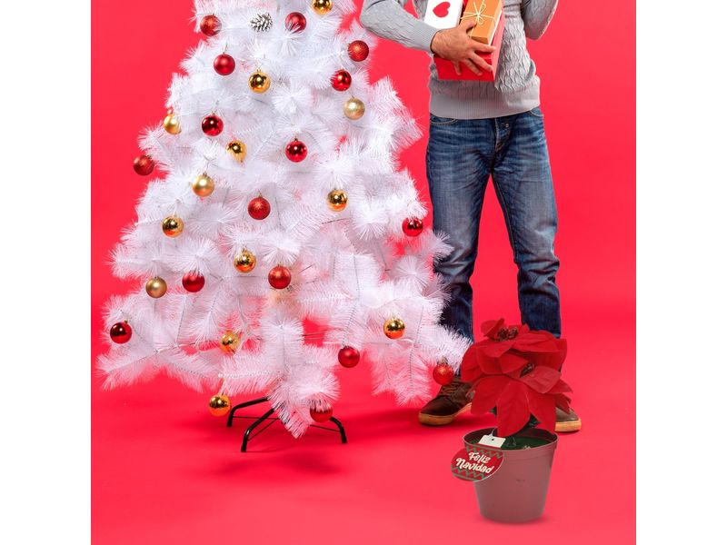 000000000070307013-UN-03