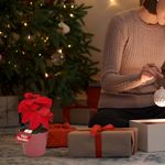 000000000070307013-UN-04