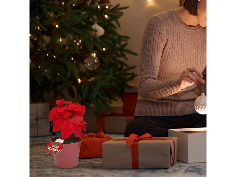 000000000070307013-UN-04