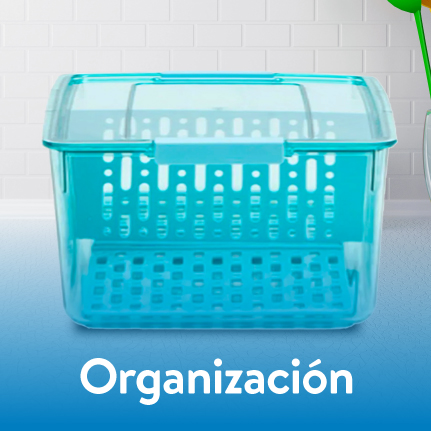 Organizacion y Limpieza